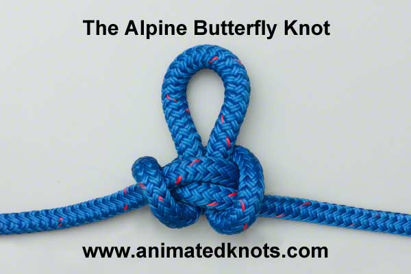 Alpine Butterfly