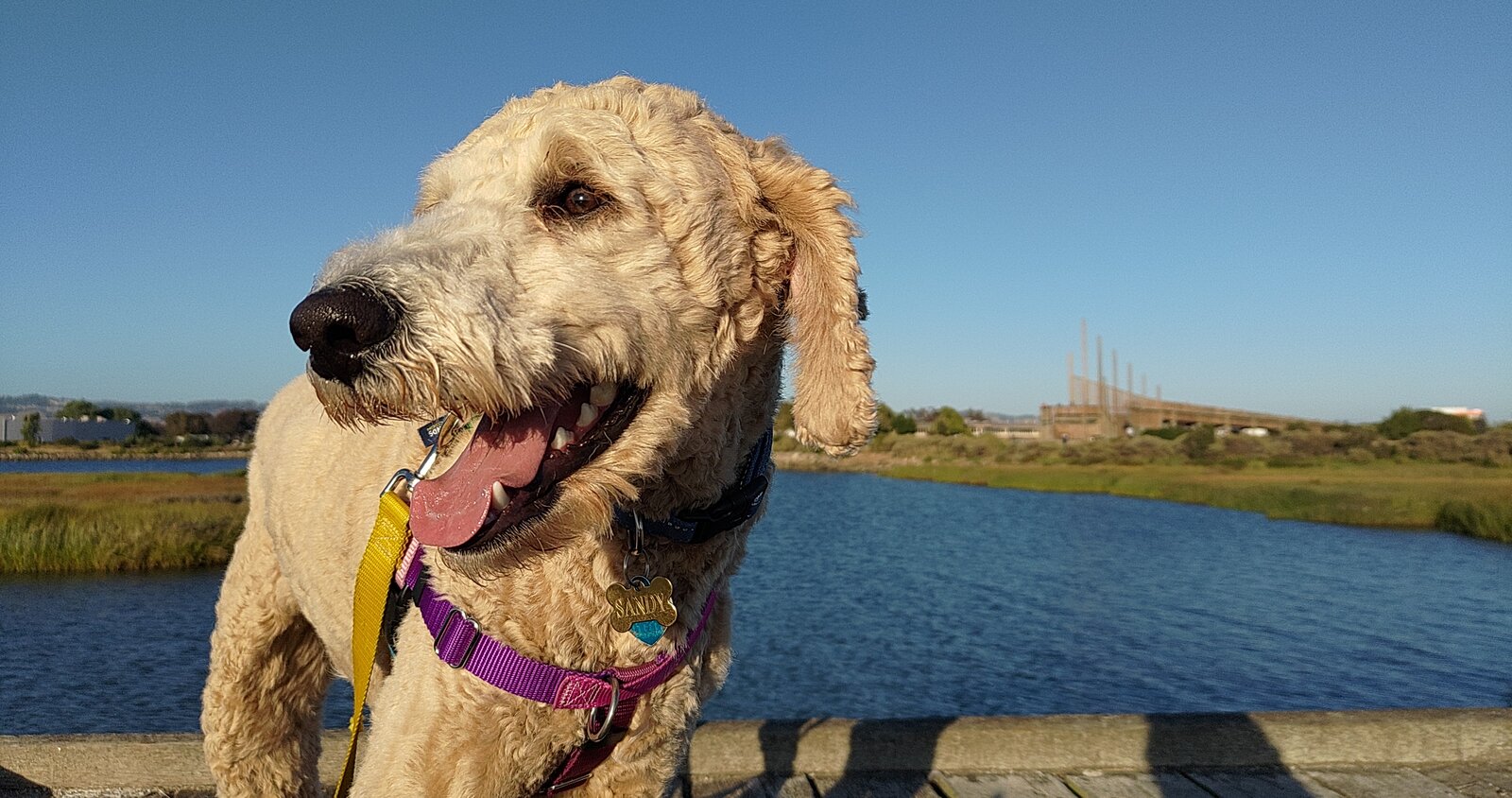 Sandy, mouth open, awaiting more money